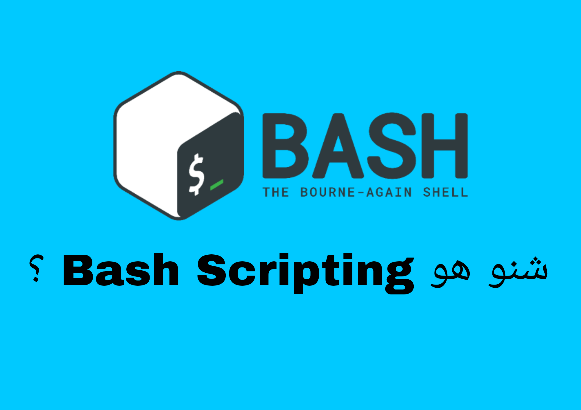 What is Bash